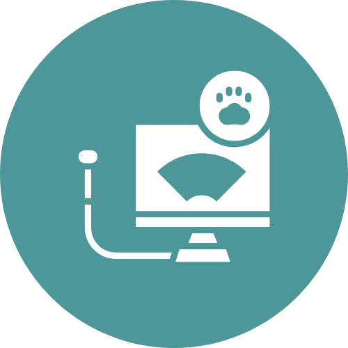 detection testing icon diagnostic testing icon
